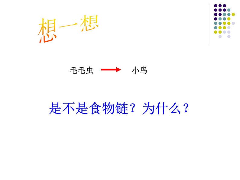 济南版生物八年级下册6.2.2食物链和食物网课件第8页