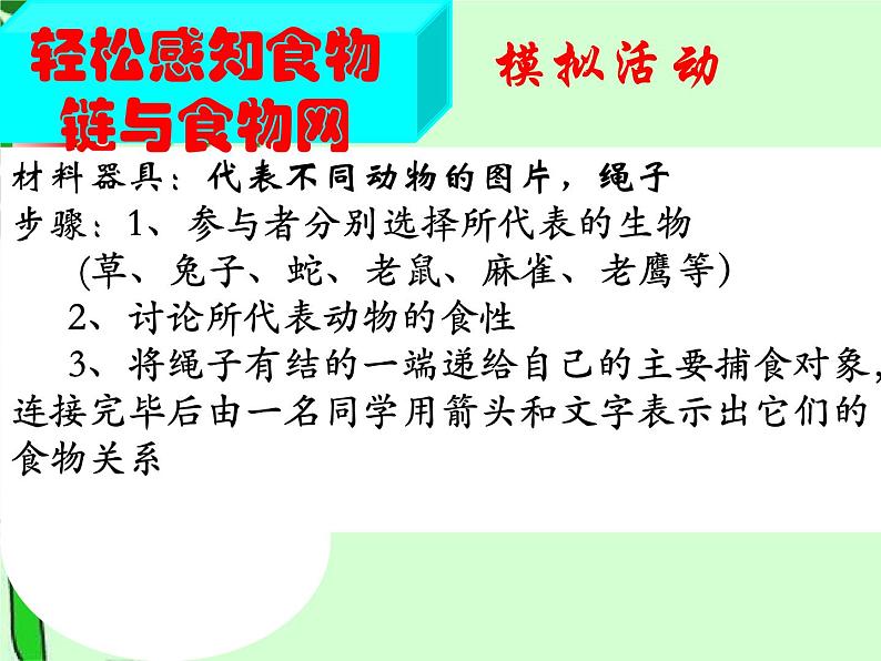 济南版生物八年级下册6.2.2食物链和食物网课件第6页