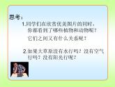 济南版生物八年级下册6.2.1生态系统的组成课件