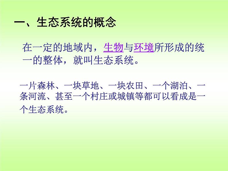 济南版生物八年级下册6.2.1生态系统的组成课件第5页