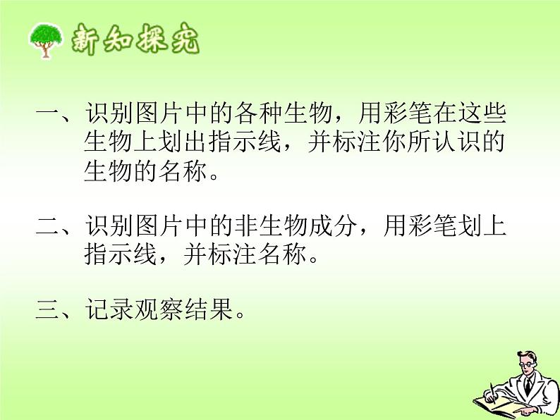 济南版生物八年级下册6.2.1生态系统的组成课件第6页