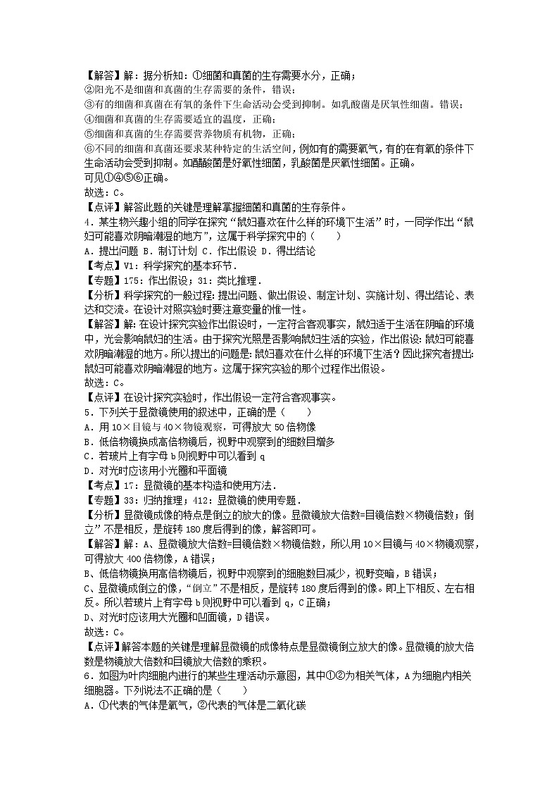 生物七上济南版期中卷卷3第2页
