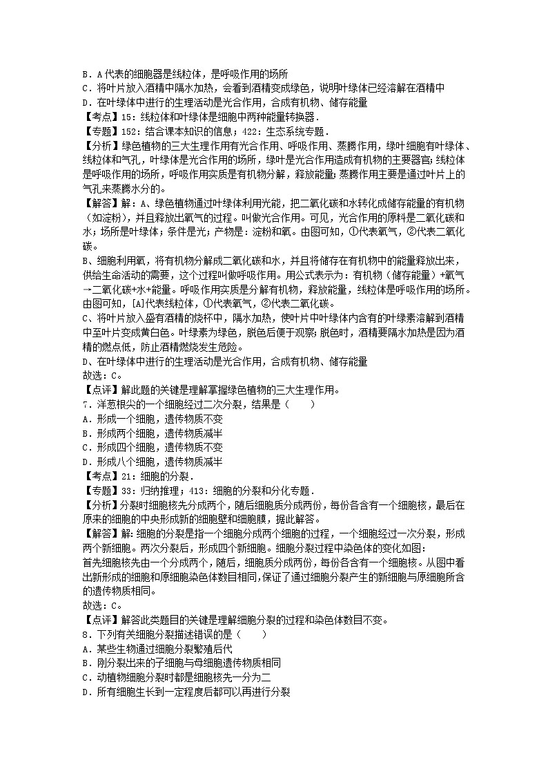 生物七上济南版期中卷卷3第3页