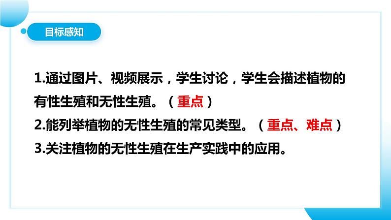 【核心素养目标】人教版初中生物八年级下册7.1.1《植物的生殖》课件第6页