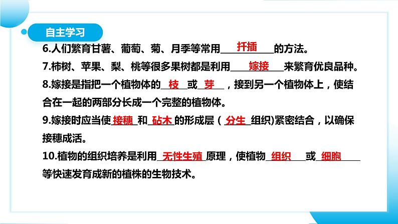 【核心素养目标】人教版初中生物八年级下册7.1.1《植物的生殖》课件第8页