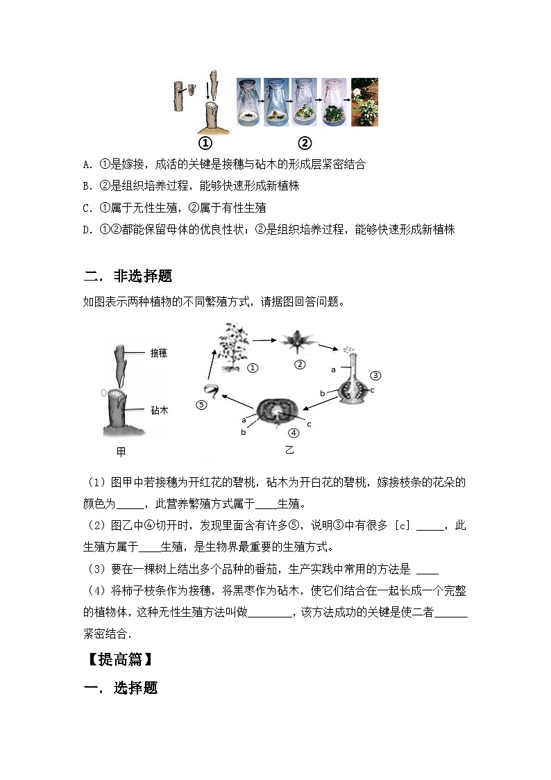【核心素养目标】人教版初中生物八年级下册7.1.1《植物的生殖》课件+视频+教学设计+同步分层练习（含答案）02