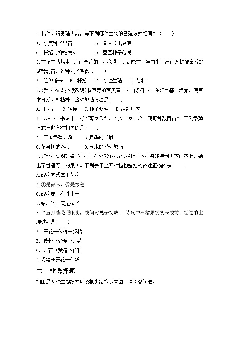 【核心素养目标】人教版初中生物八年级下册7.1.1《植物的生殖》课件+视频+教学设计+同步分层练习（含答案）03