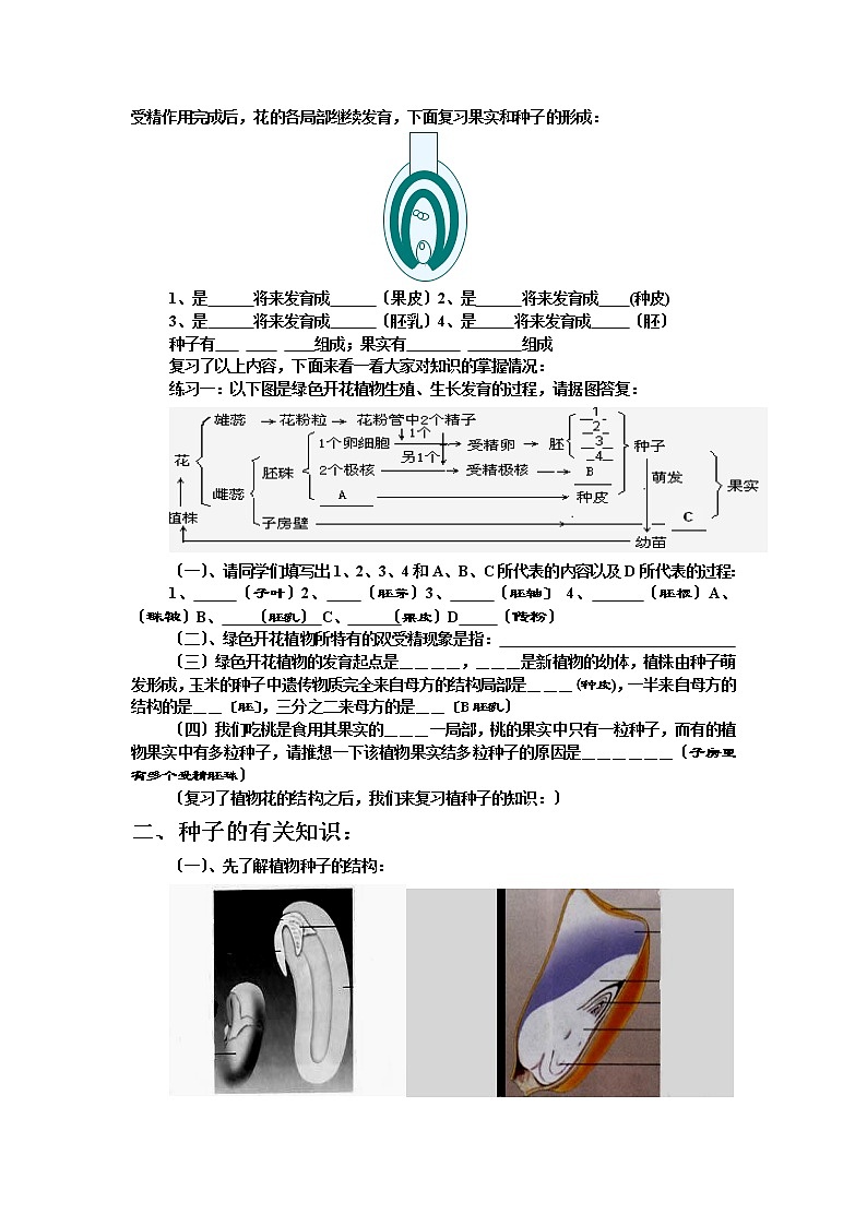 苏科版生物复习课：专题八  植物的有性生殖与发育  学案02