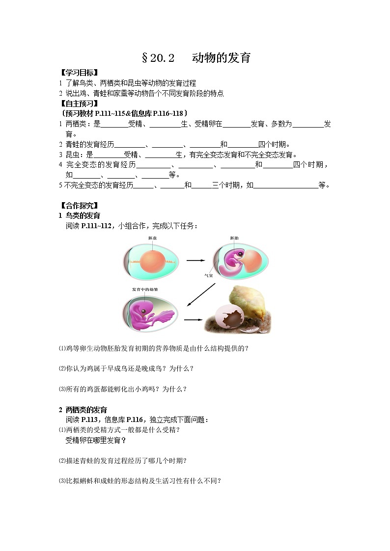 苏科版生物八年级上册 7.20.2 动物的发育  导学案01