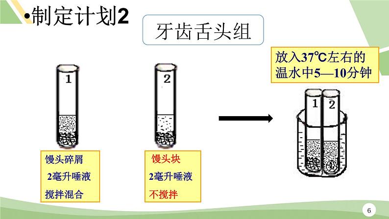 鲁科版（五四学制）生物七年级上册 4.2.2 消化和吸收---探究_馒头在口腔中的变化  课件第6页