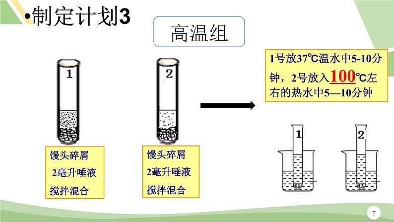 鲁科版（五四学制）生物七年级上册 4.2.2 消化和吸收---探究_馒头在口腔中的变化  课件第7页