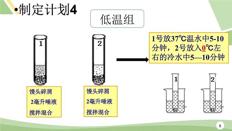 鲁科版（五四学制）生物七年级上册 4.2.2 消化和吸收---探究_馒头在口腔中的变化  课件第8页