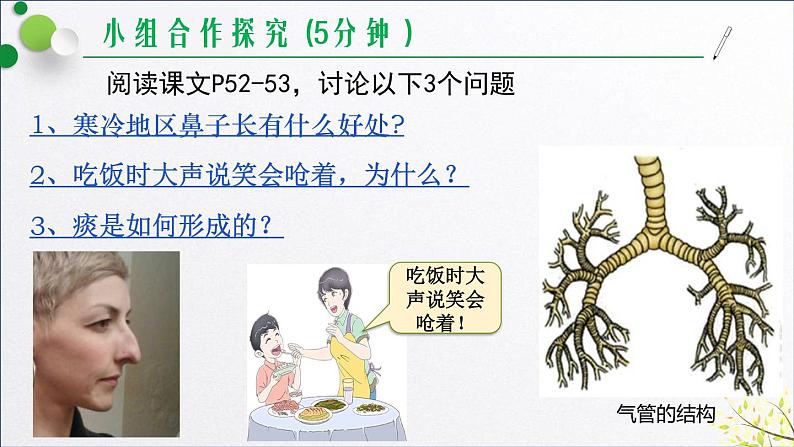 鲁科版（五四学制）生物七年级上册 4.3.1 呼吸道对空气的处理   课件06