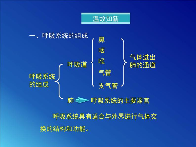 鲁科版（五四学制）生物七年级上册 4.3.2 发生在肺内的气体交换 课件(1)02