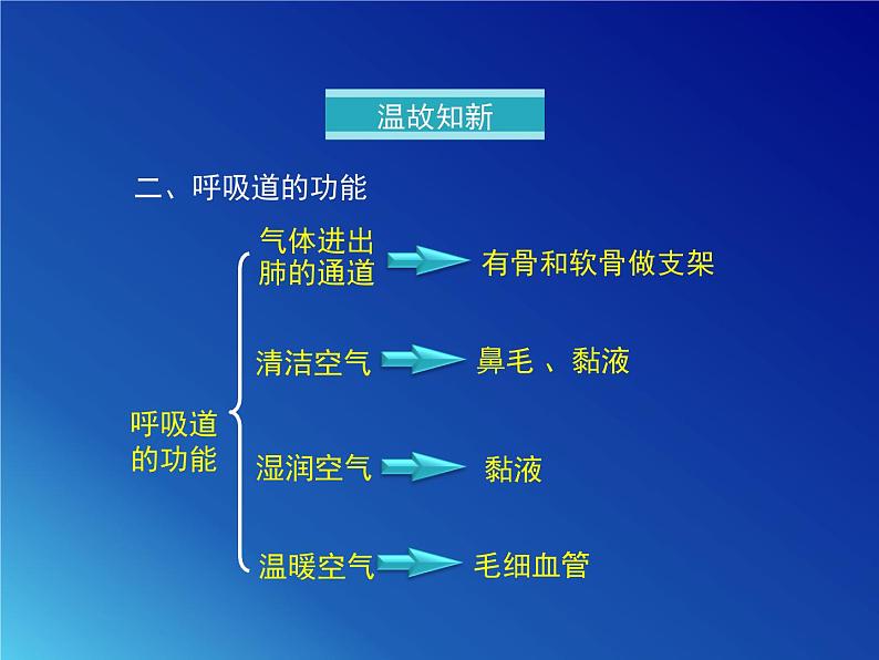 鲁科版（五四学制）生物七年级上册 4.3.2 发生在肺内的气体交换 课件(1)03