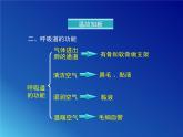 鲁科版（五四学制）生物七年级上册 4.3.2 发生在肺内的气体交换 课件(1)