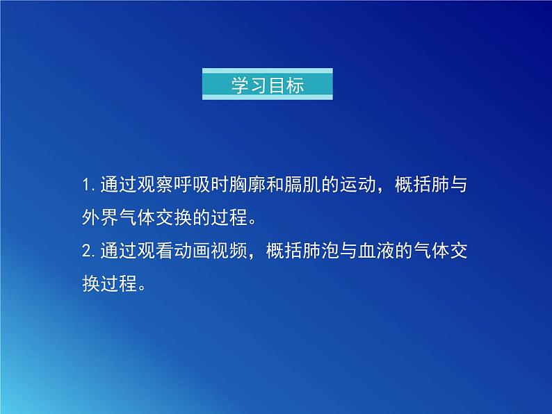 鲁科版（五四学制）生物七年级上册 4.3.2 发生在肺内的气体交换 课件(1)04