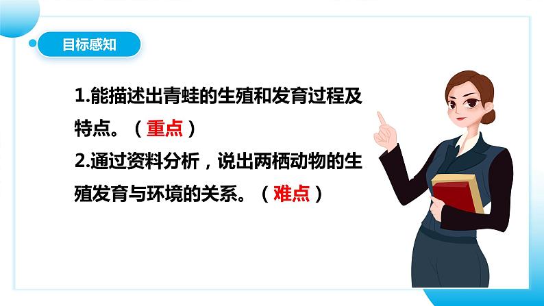 【核心素养目标】人教版初中生物八年级下册7.1.3《两栖动物的生殖和发育》课件+视频+教学设计+同步分层练习（含答案）04