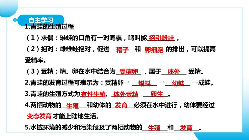 【核心素养目标】人教版初中生物八年级下册7.1.3《两栖动物的生殖和发育》课件+视频+教学设计+同步分层练习（含答案）05