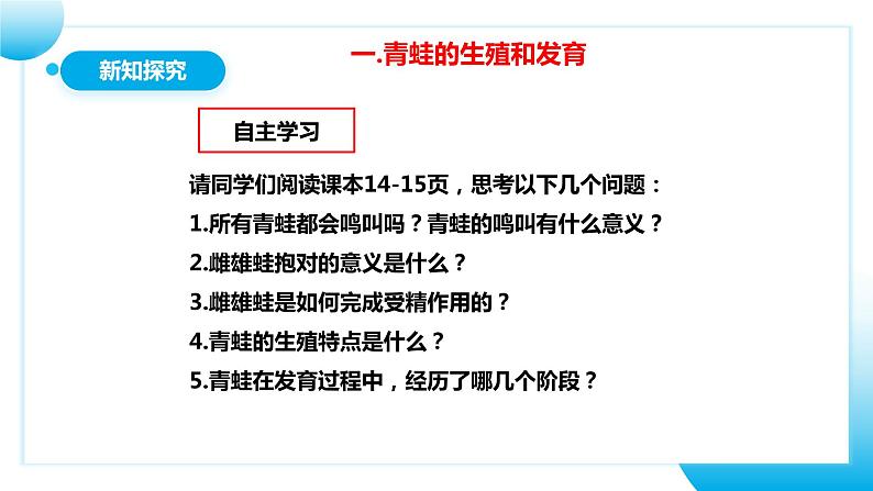 【核心素养目标】人教版初中生物八年级下册7.1.3《两栖动物的生殖和发育》课件+视频+教学设计+同步分层练习（含答案）07