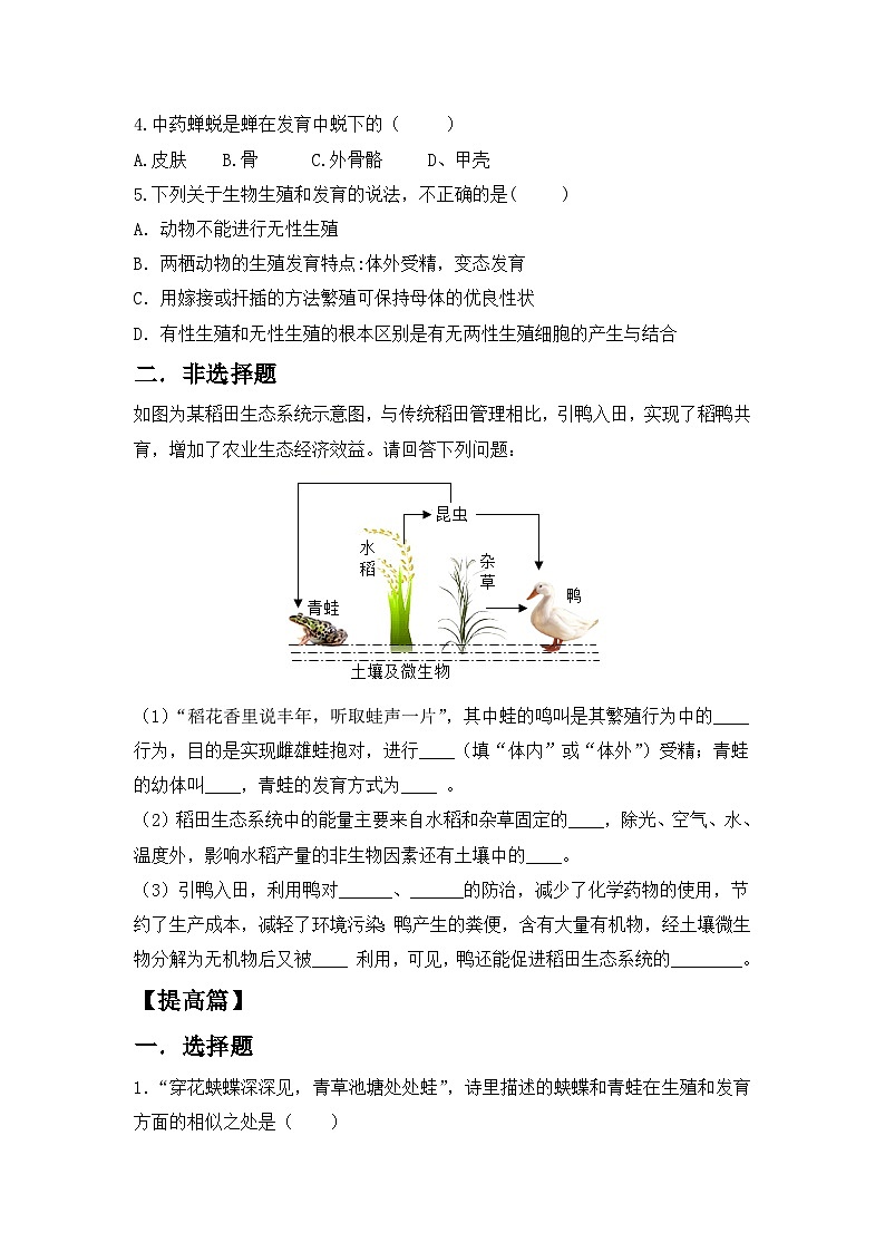 【核心素养目标】人教版初中生物八年级下册7.1.3《两栖动物的生殖和发育》课件+视频+教学设计+同步分层练习（含答案）02