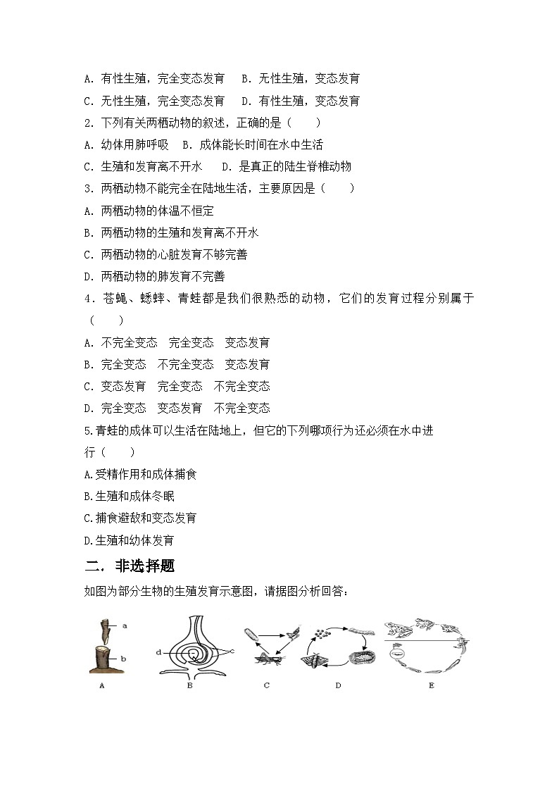 【核心素养目标】人教版初中生物八年级下册7.1.3《两栖动物的生殖和发育》课件+视频+教学设计+同步分层练习（含答案）03