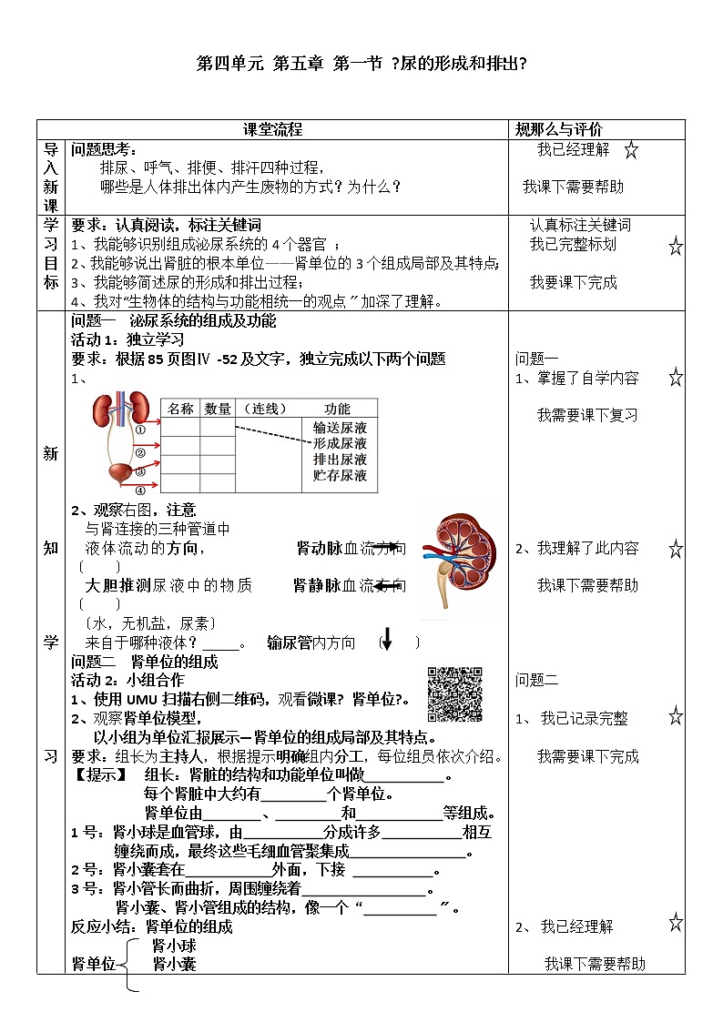 鲁科版（五四学制）生物七年级上册 4.5.1尿的形成和排出 学案01