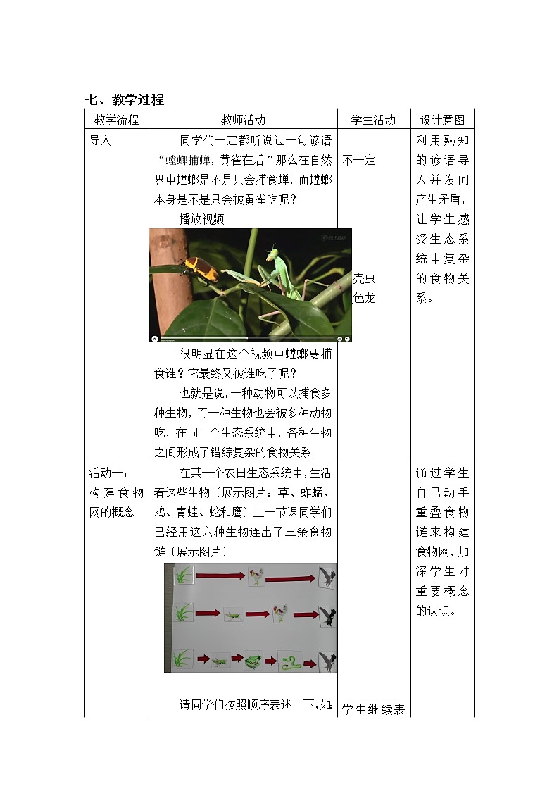 苏科版生物七年级上册 3.6.2食物网教学设计03