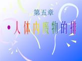 人教版 七年级下册 生物 第四单元 第五章 人体内废物的排出课件PPT