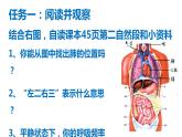 鲁科版（五四学制）生物七年级上册 4.3.2 发生在肺内的气体交换 课件(2)