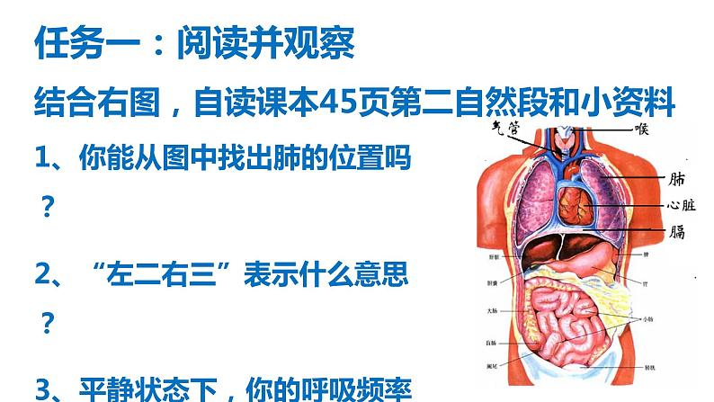 鲁科版（五四学制）生物七年级上册 4.3.2 发生在肺内的气体交换 课件(2)第3页