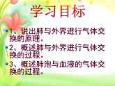 鲁科版（五四学制）生物七年级上册 4.3.2 发生在肺内的气体交换 课件(4)