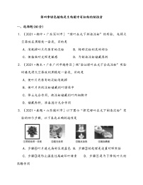 生物七年级上册第四章 绿色植物是生物圈中有机物的制造者一课一练