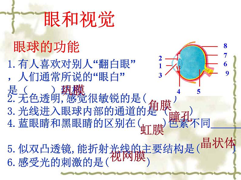 鲁科版（五四学制）生物七年级下册 4.6.1人体对外界环境的感知 课件08