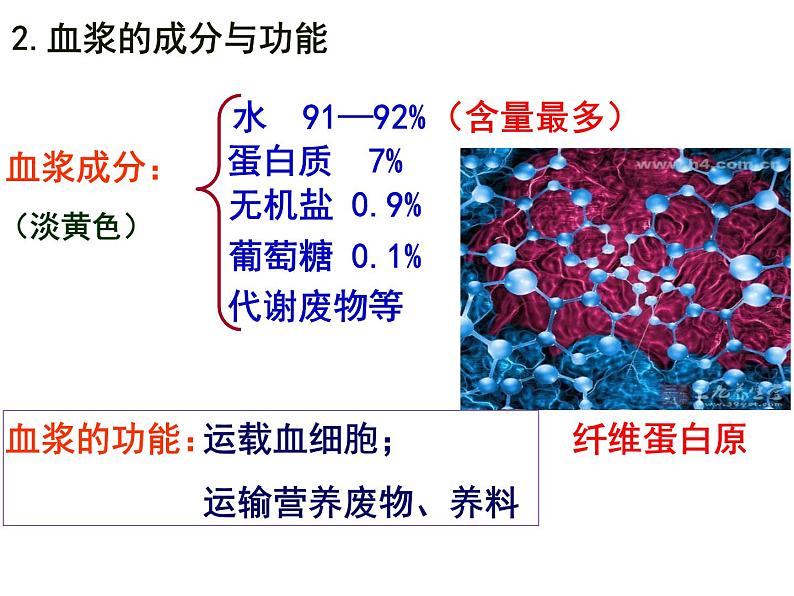 北师大版七年级下册 9.1血液课件第3页