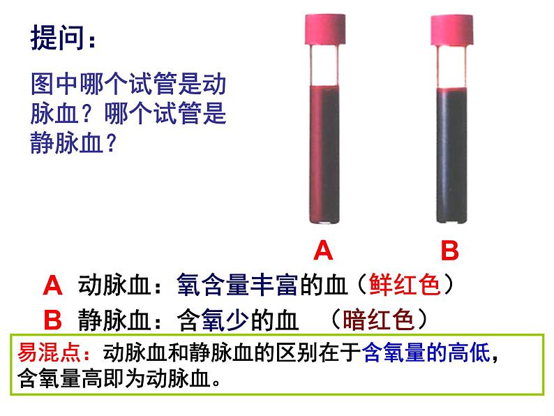 北师大版七年级下册 9.1血液课件第8页