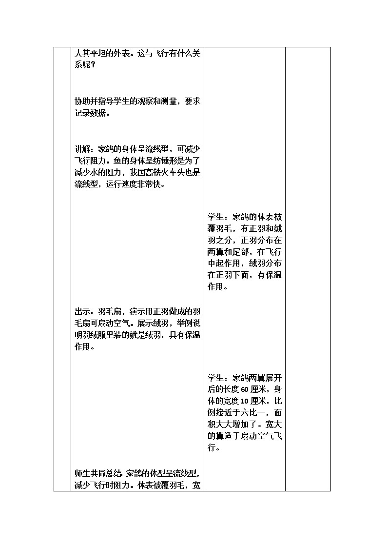 苏科版生物七年级下册 5.12.1 鸟类 学案  (一)03