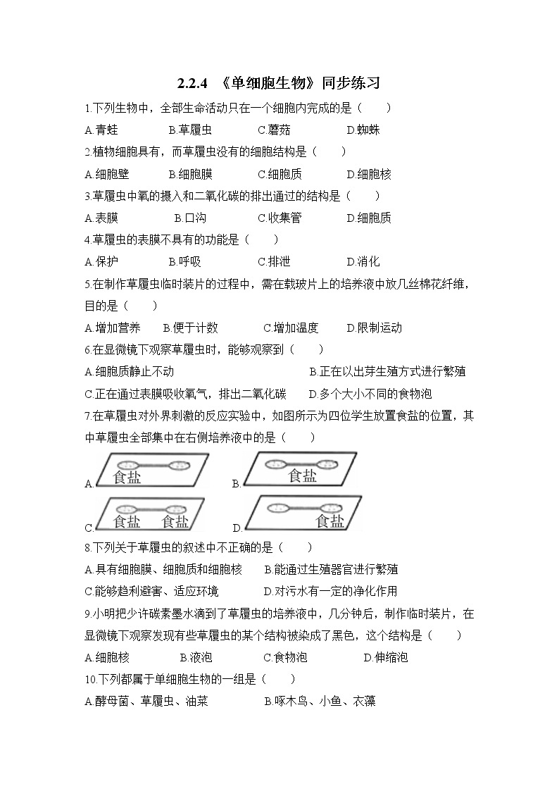 2.2.4 单细胞生物 课件PPT+教案+同步练习01