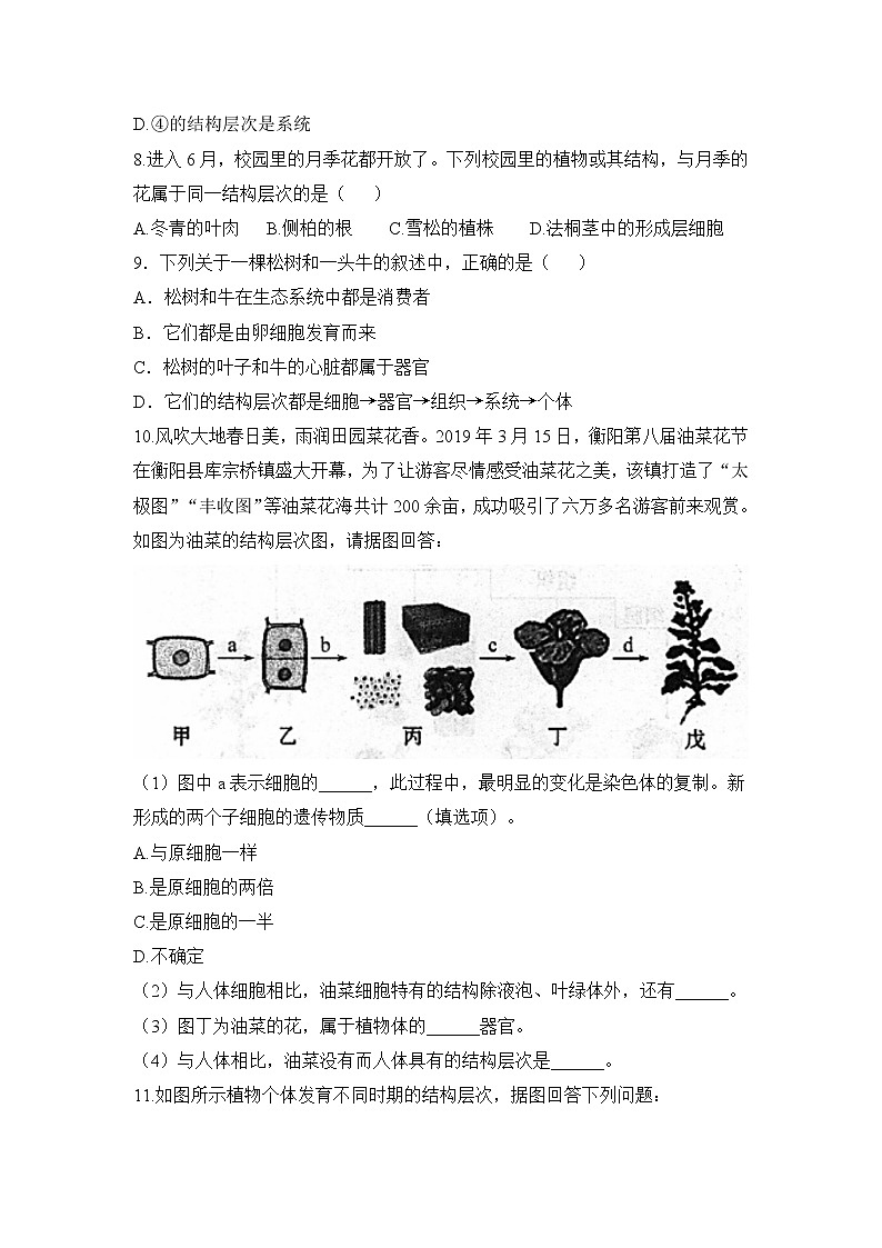 2.2.3 植物体的结构层次 课件PPT+教案+同步练习02