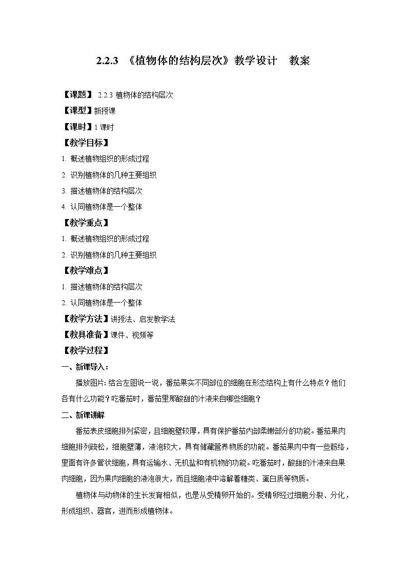2.2.3 植物体的结构层次 课件PPT+教案+同步练习01