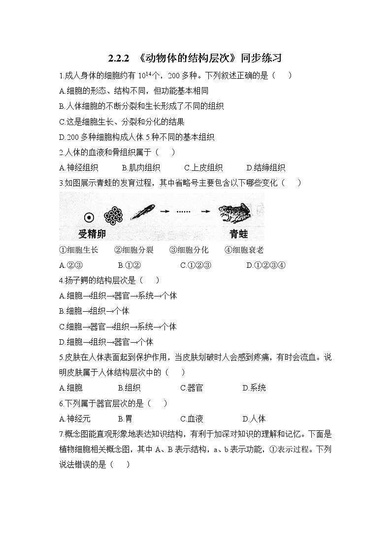 2.2.2《动物体的结构层次》同步练习第1页