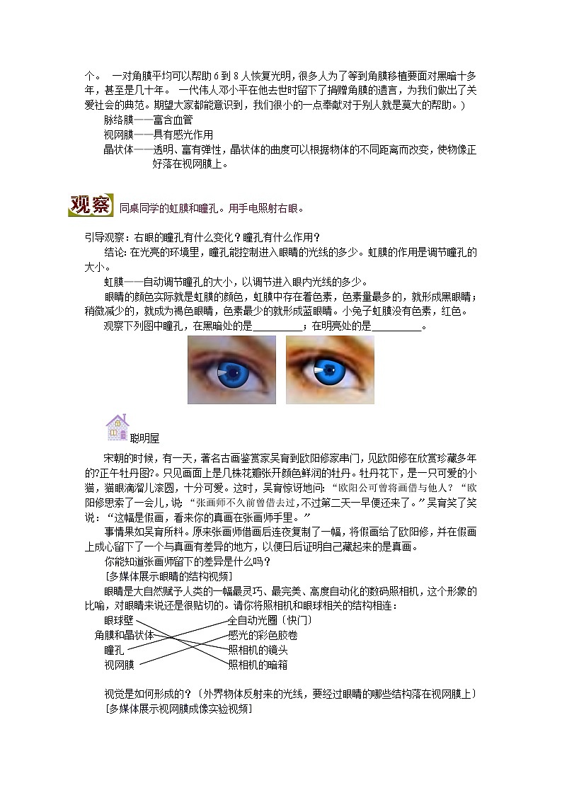 苏科版生物八年级上册  人体对信息的感知教案02