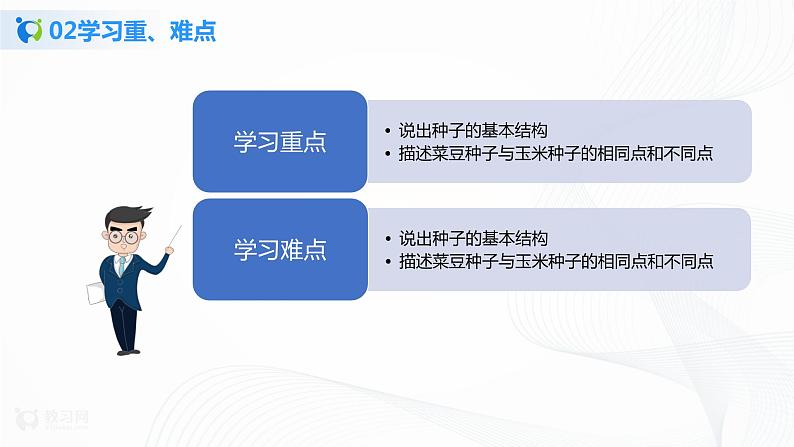 3.1.2 种子植物 第1课时 课件PPT+教案+同步练习04