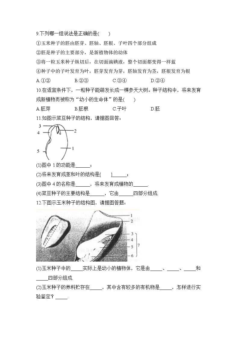 3.1.2 种子植物 第1课时 课件PPT+教案+同步练习02