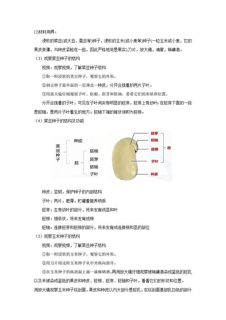 3.1.2 种子植物 第1课时 课件PPT+教案+同步练习02