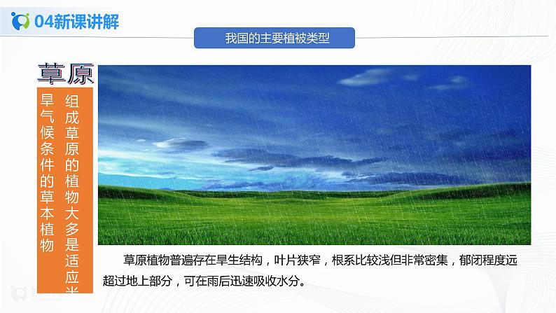 3.6 爱护植被 绿化祖国  课件PPT+教案+同步练习08