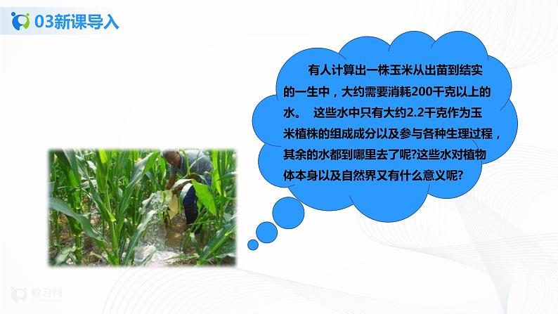 3.3 绿色植物与生物圈中的水循环 第1课时  课件PPT+教案+同步练习05