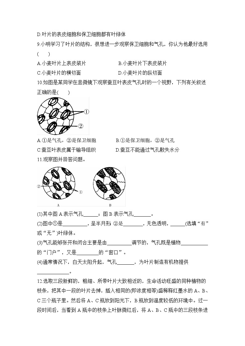 3.3 绿色植物与生物圈中的水循环 第1课时  课件PPT+教案+同步练习02