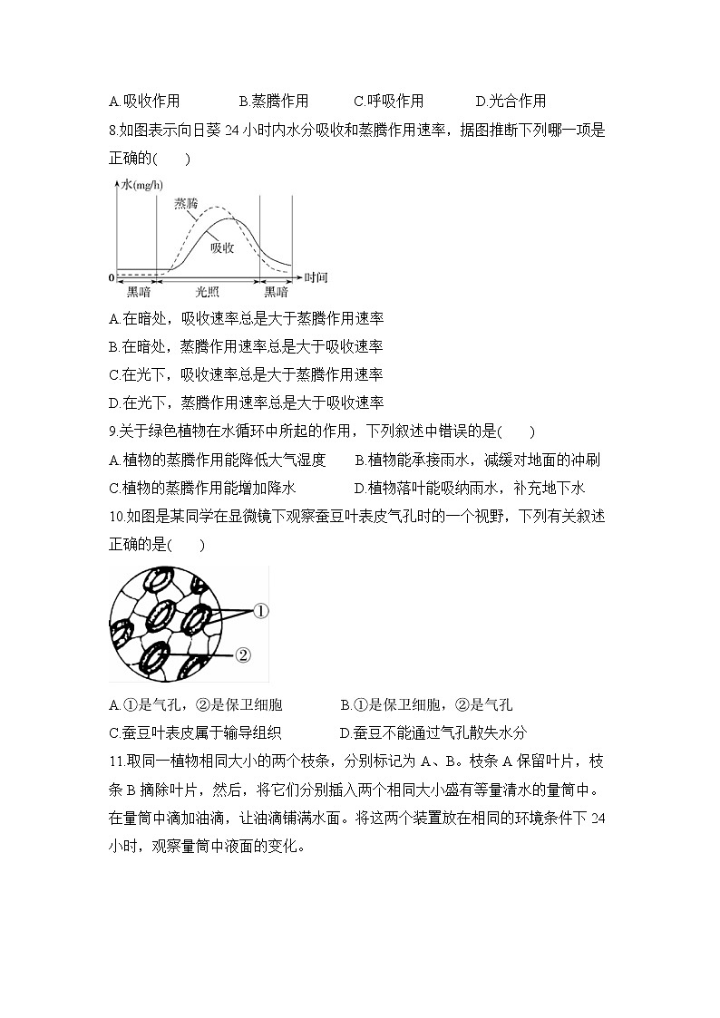 3.3 绿色植物与生物圈中的水循环 第2课时 课件PPT+教案+同步练习02