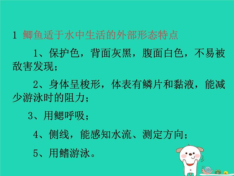 （新济南版）七年级生物上册2.2.2脊椎动物的主要类群鱼类、两栖类、爬行类课件第6页